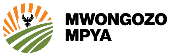 Mwongozo Mpya